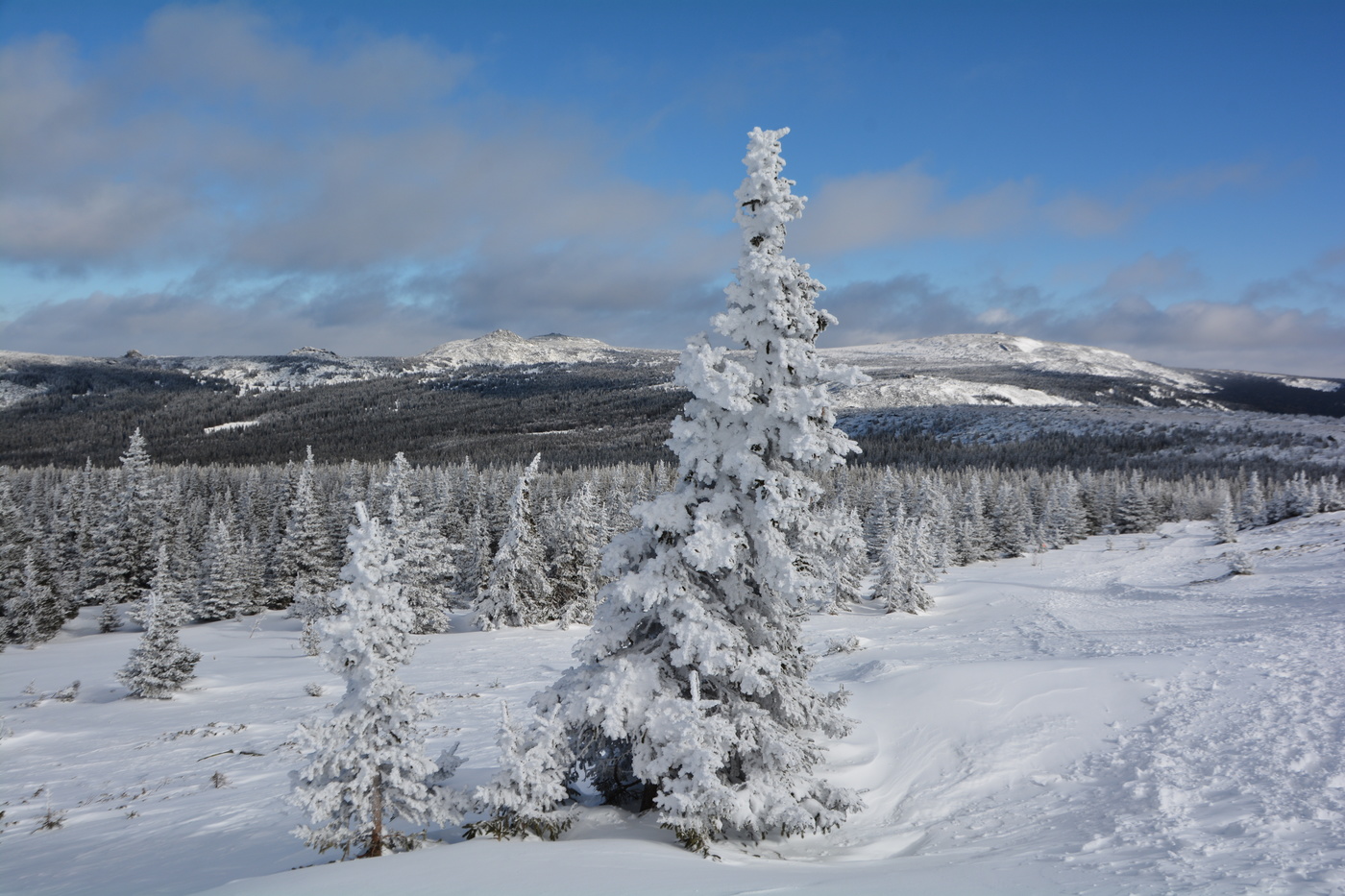 Зимний пейзаж.