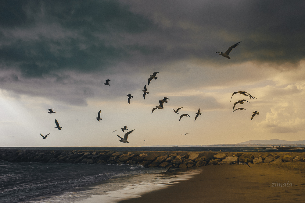 грозовой фронт