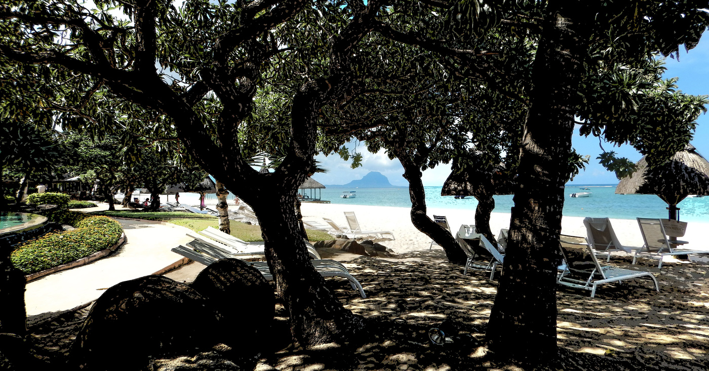 тропическая светотень