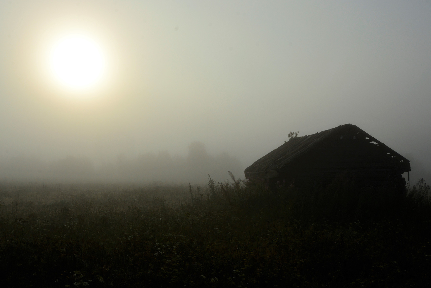 "Как мне нравится утренний миг пробужденья..."