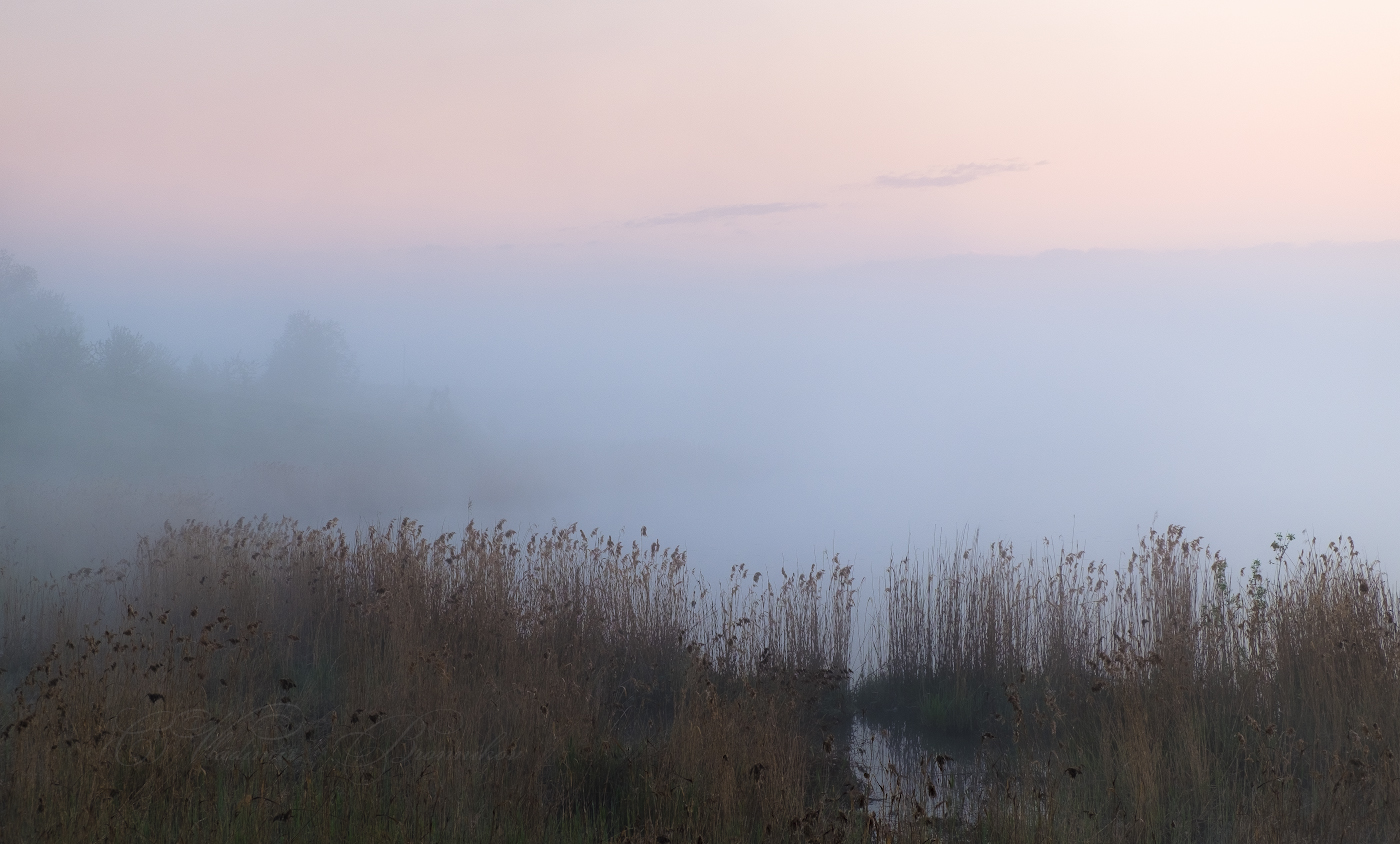 Там,за туманами...