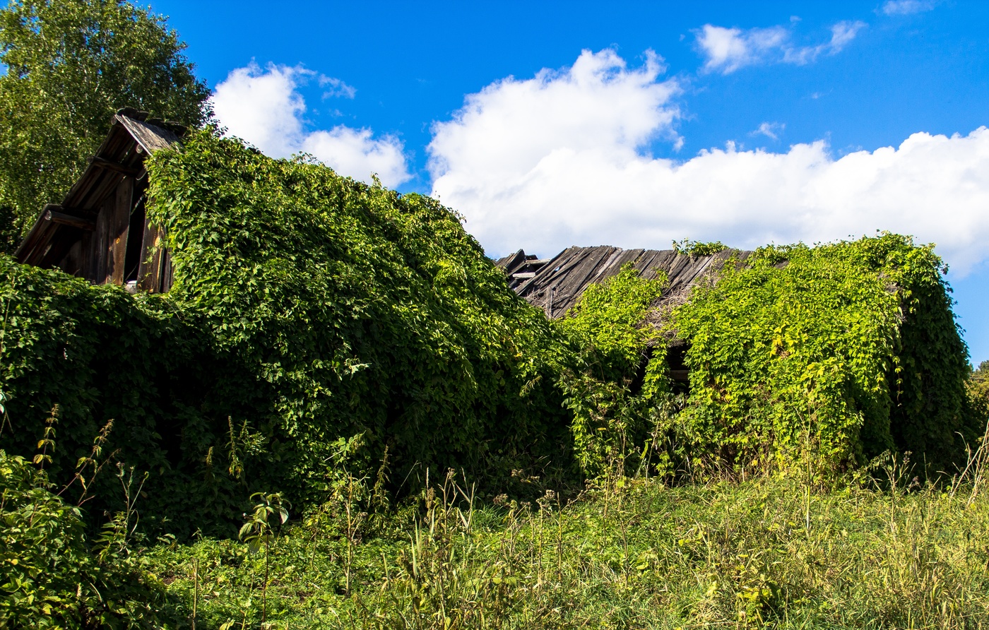 Запустение...