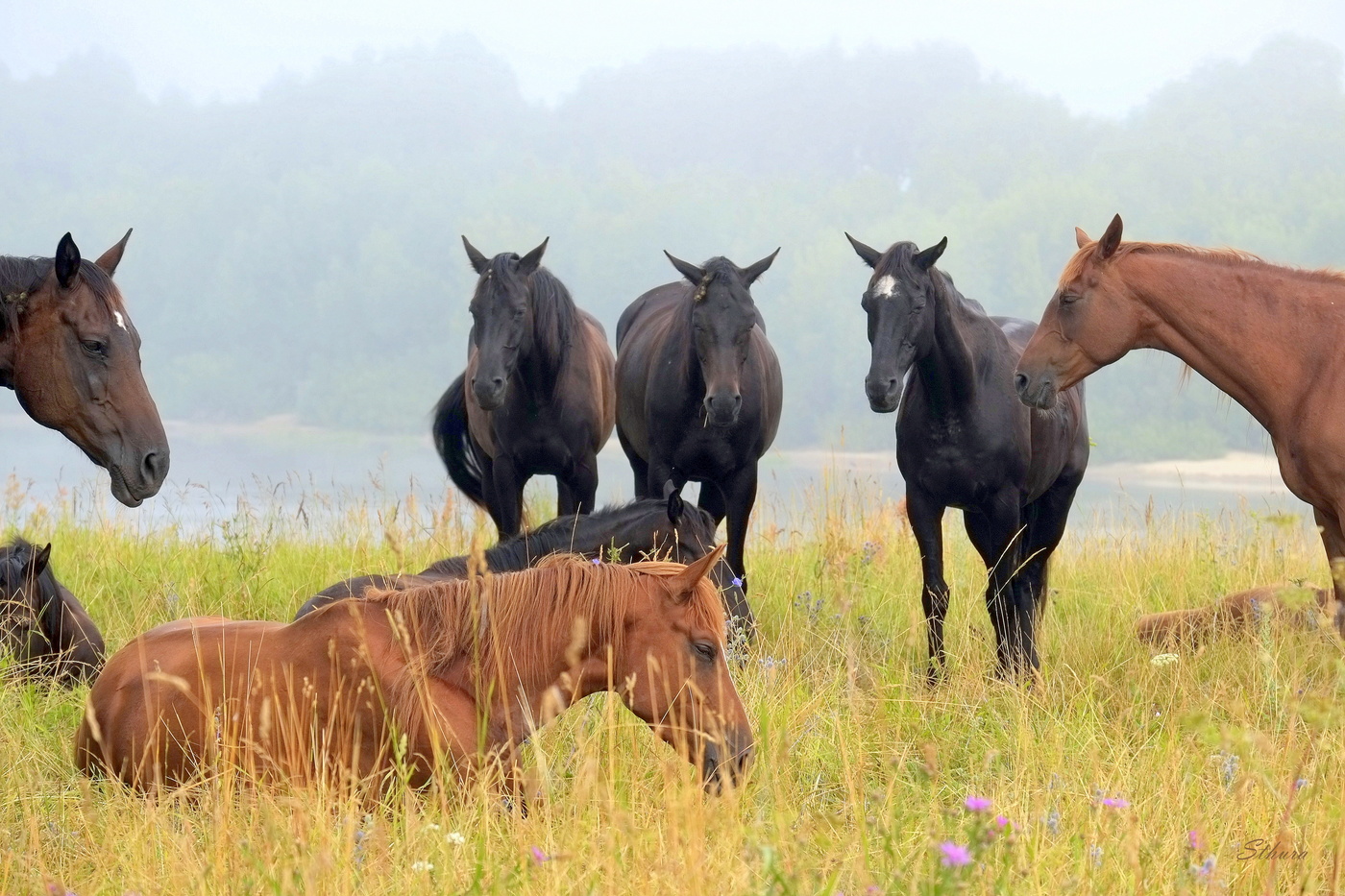 Задумались...