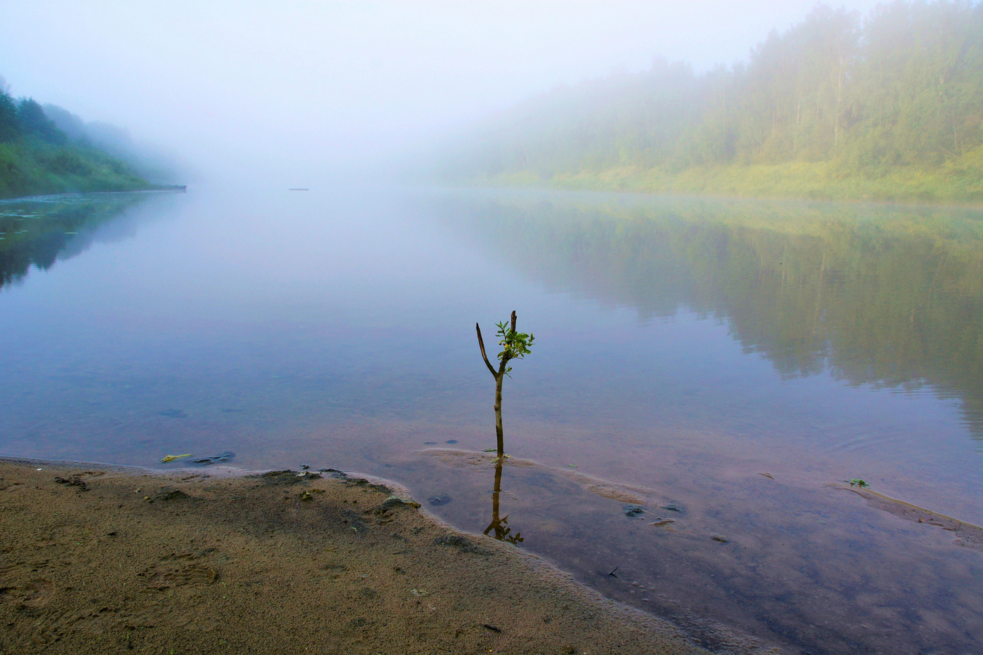 "Есть в тихом августе, мечтательном и кротком..."