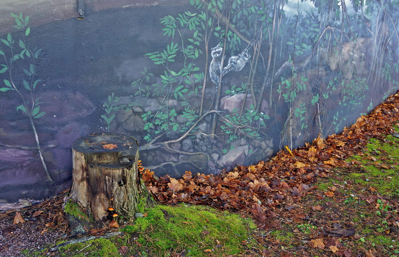 Парк. Стена. Граффити: ЕНОТЫ