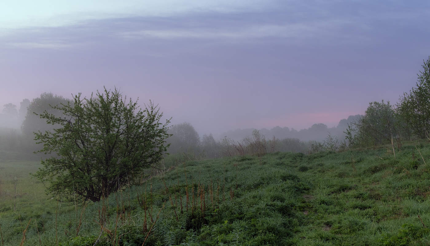 Во власти тумана
