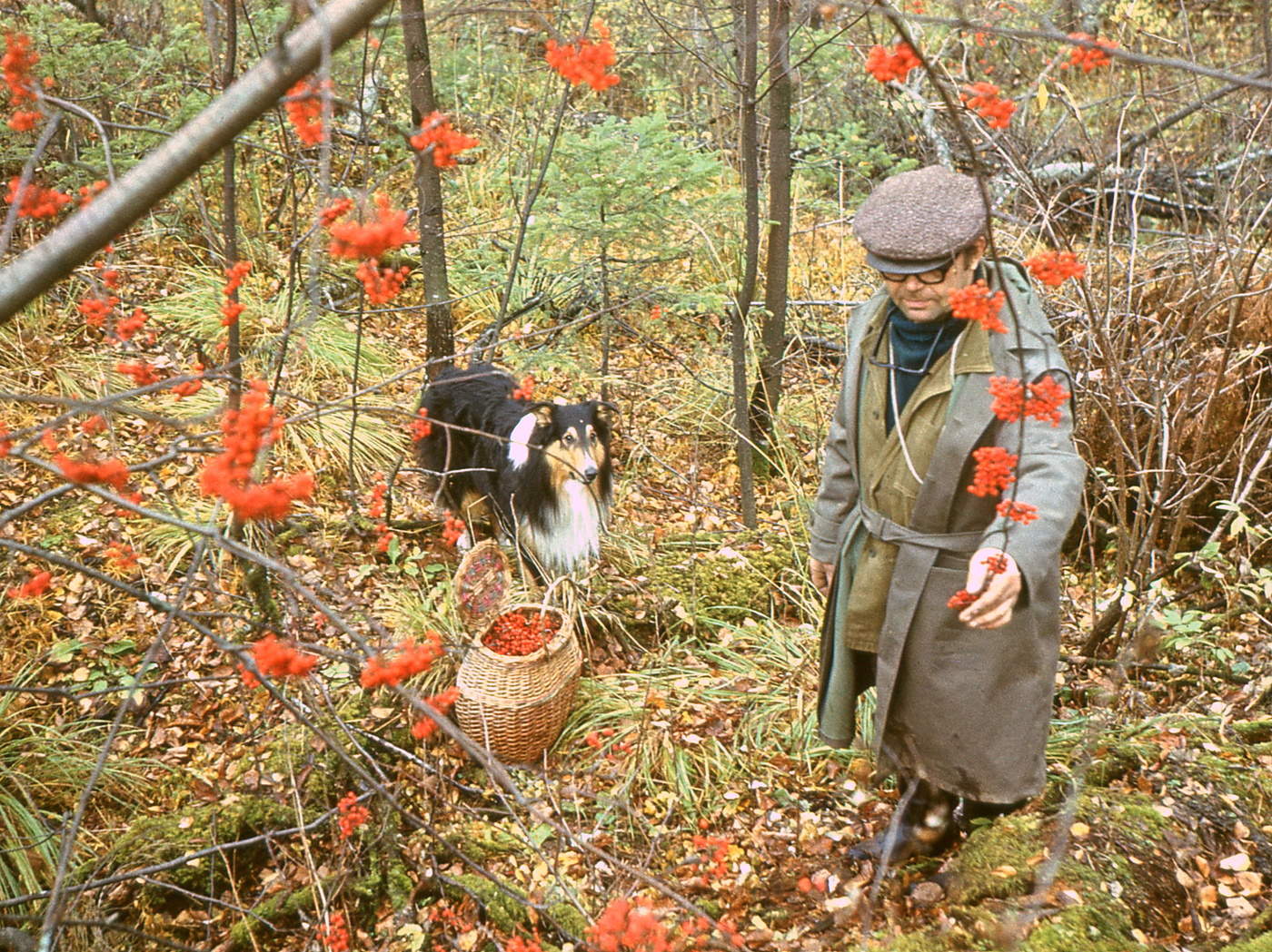 Я это не выдумал