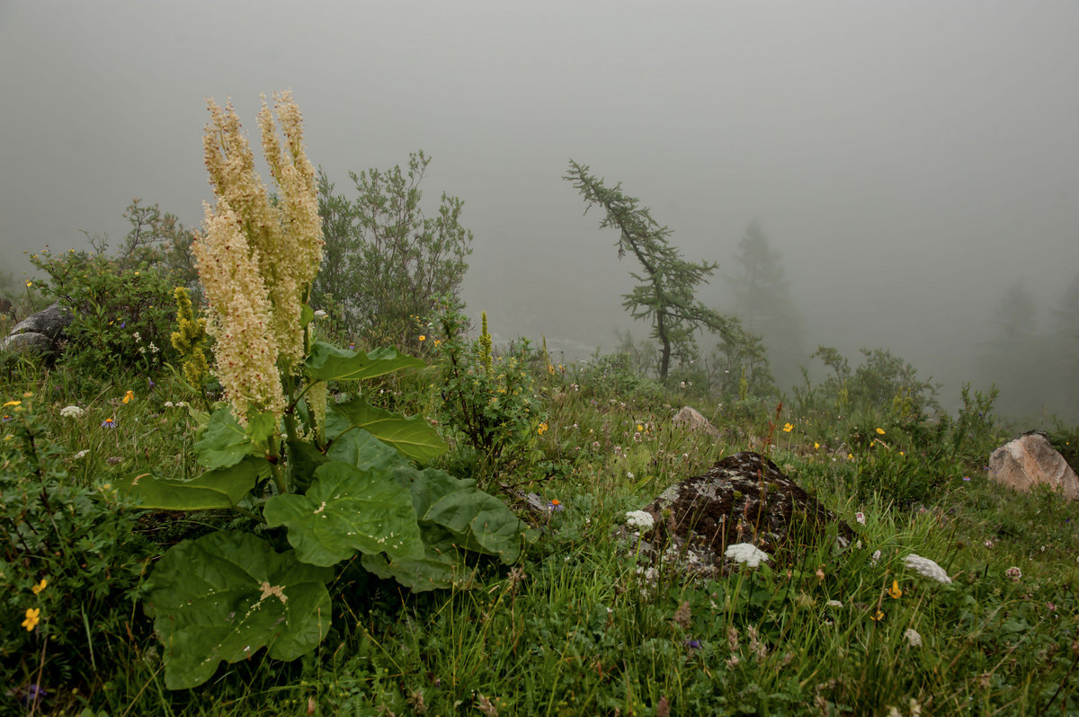 Ранним утром...