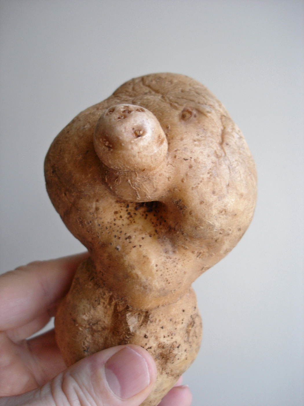 Я это не выдумал