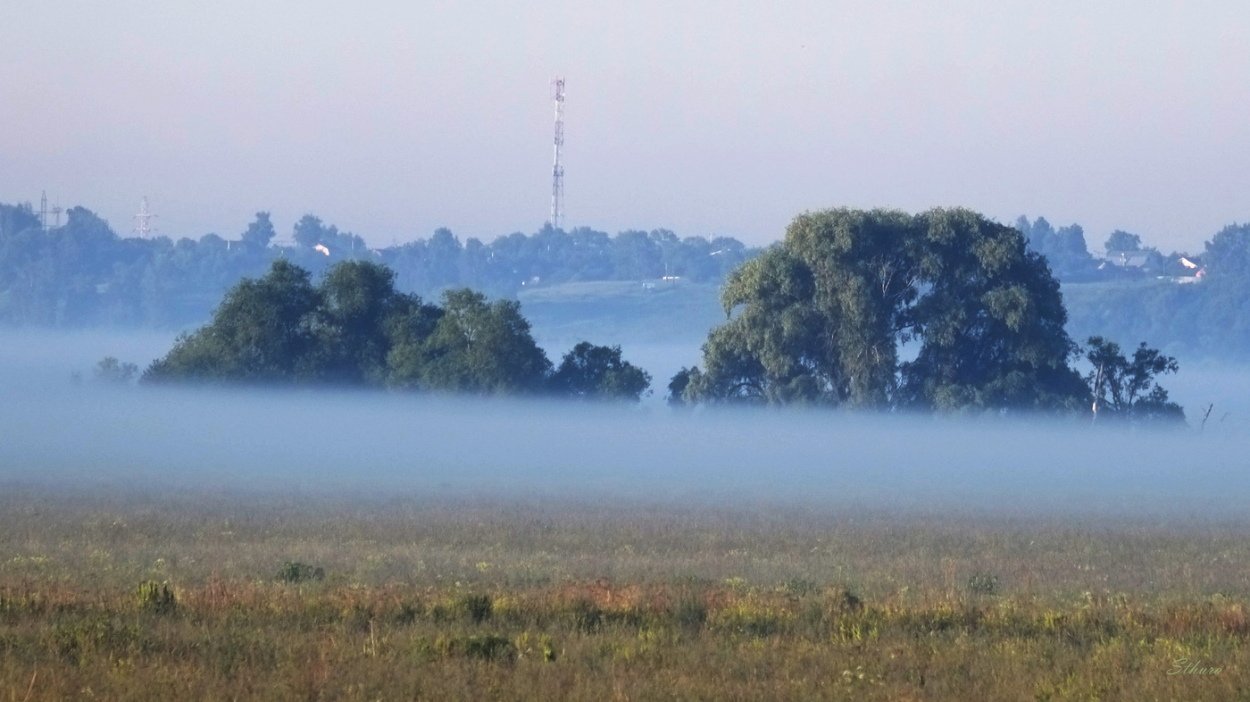 Утренний пейзаж.