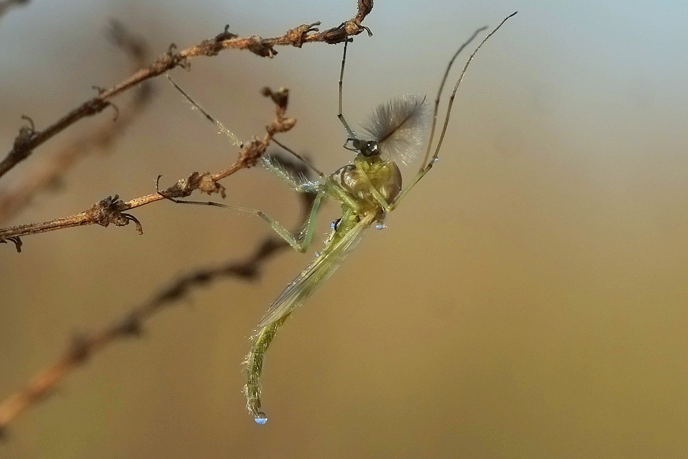 Я это не выдумал