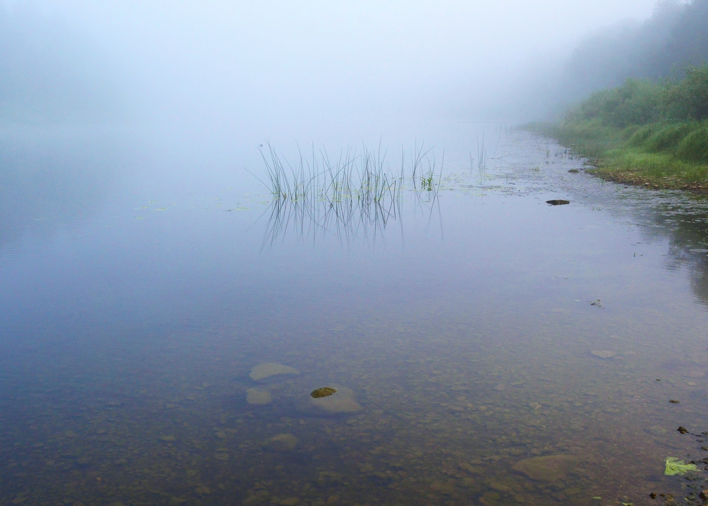 "Приди на берег утром рано ..."