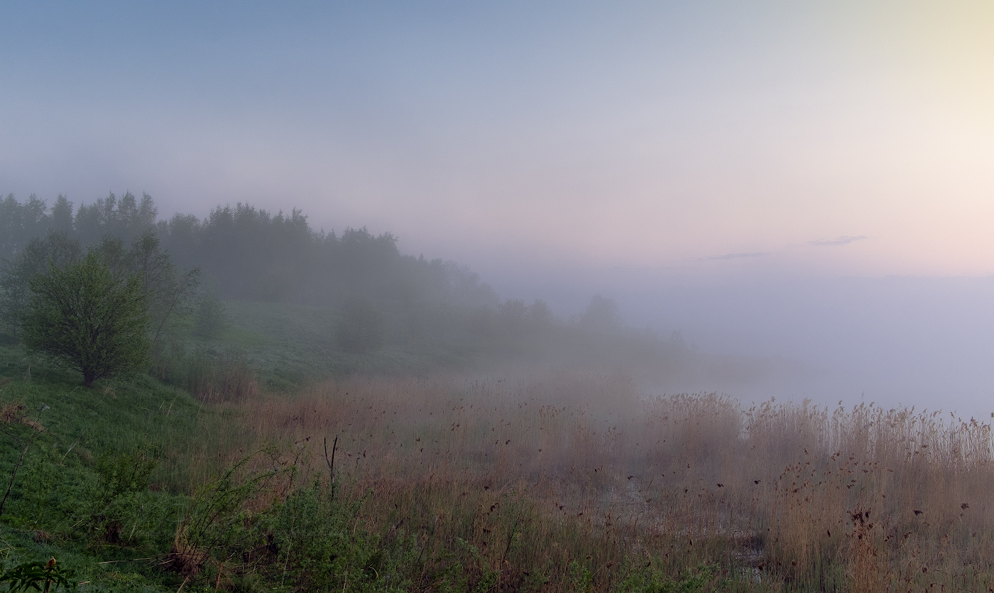Навстречу туману