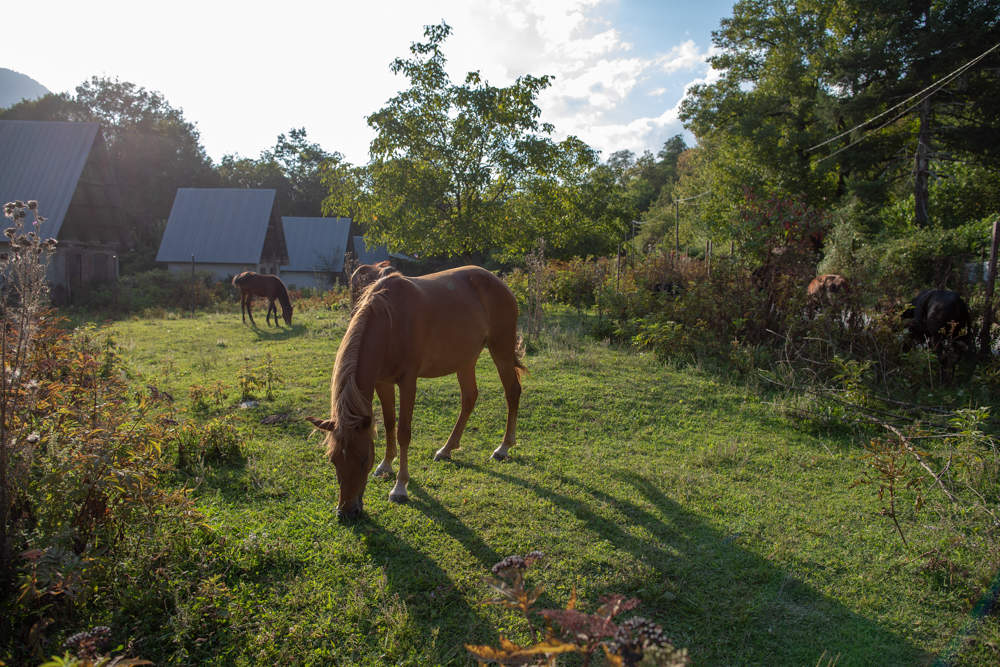 В труднодоступной деревне