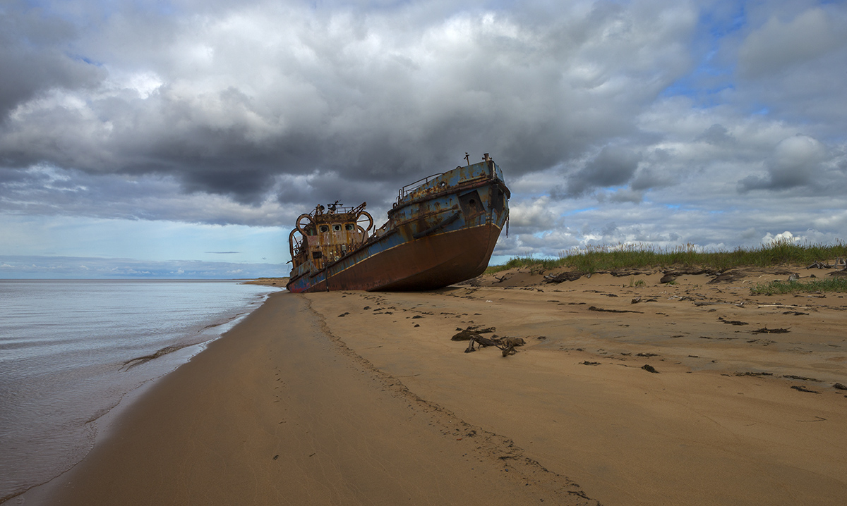 Корабль пустыни