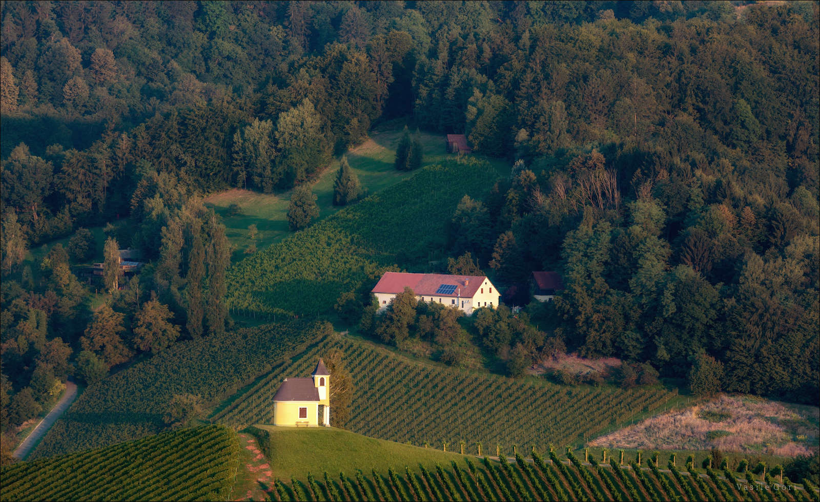 Доброе утро Гамлитц