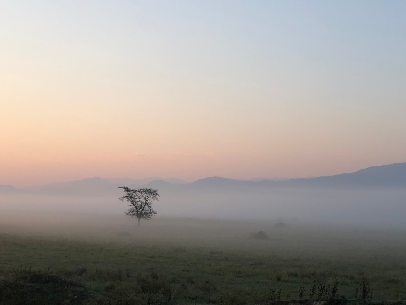 Туманное утро