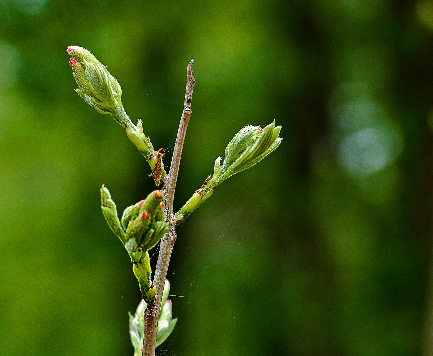 Жизнь только начинается...