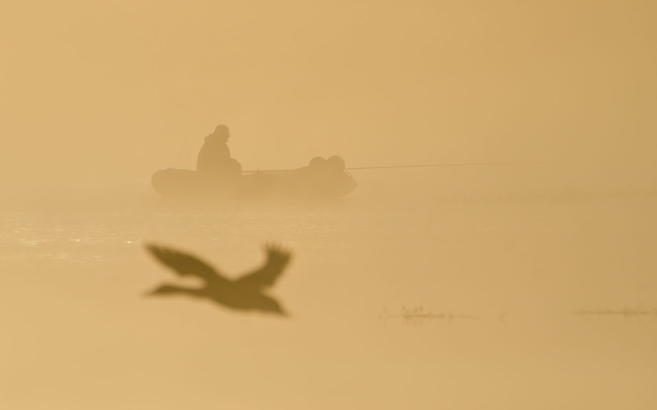Неспящие в Архангельском