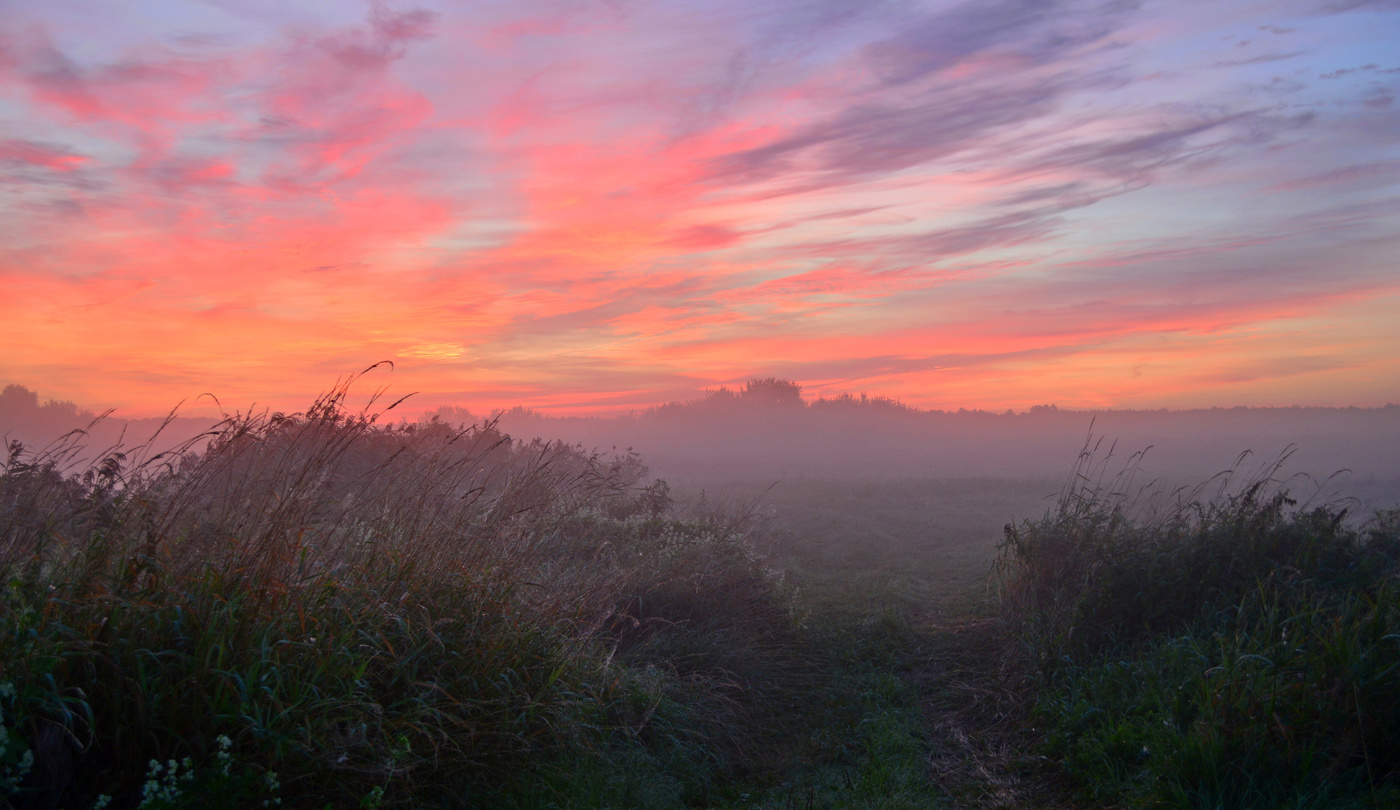 Летние рассветы