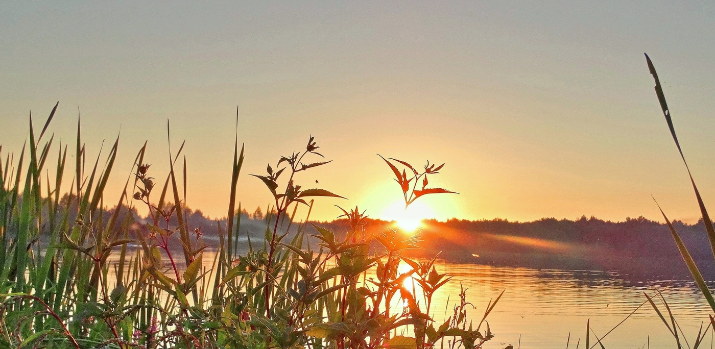 Прощальные лучи лета