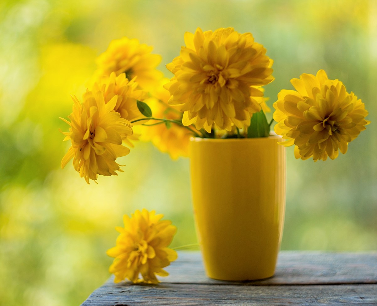 Золото Осени