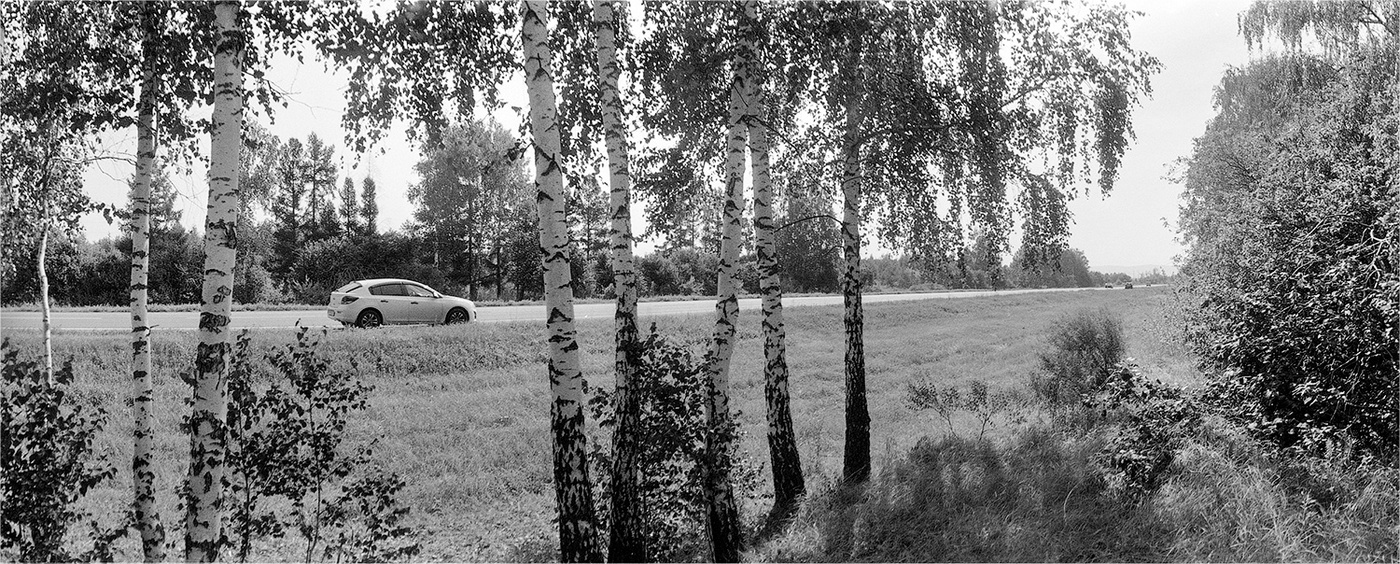 Из аэропорта Курумоч в Курумоч