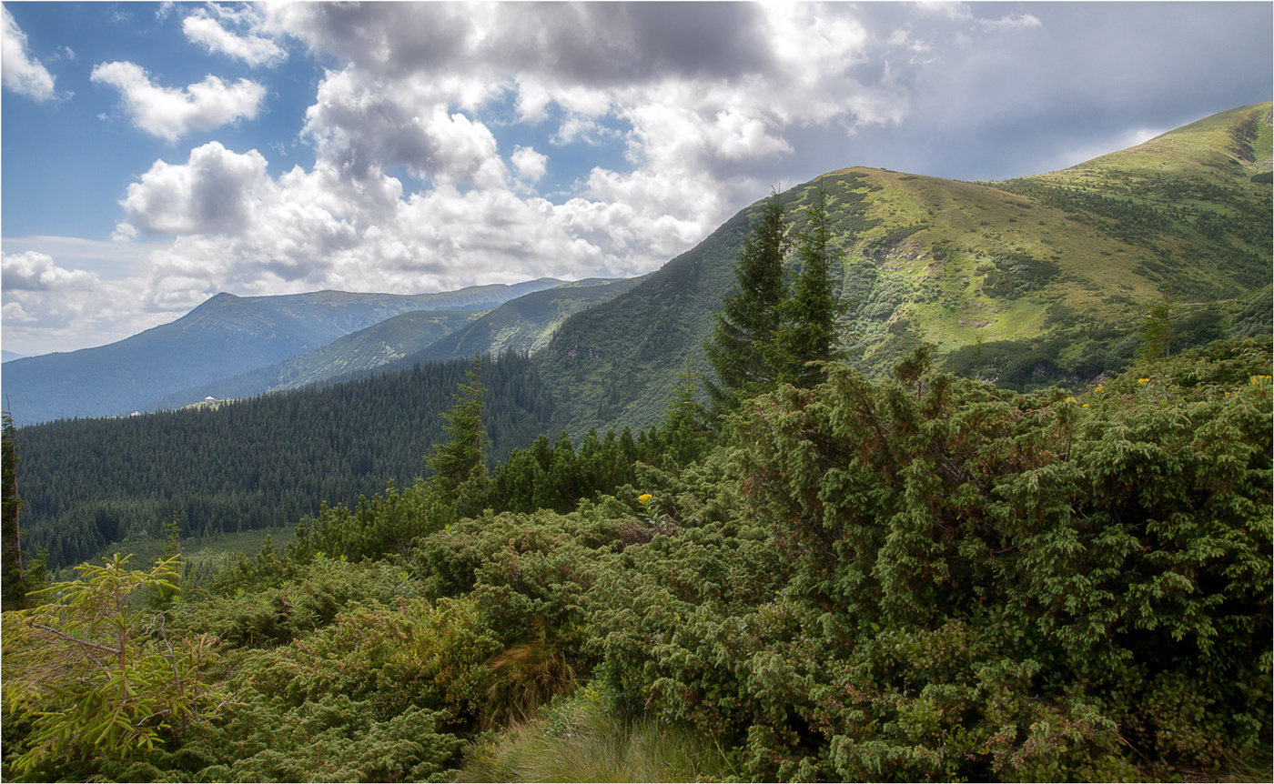 Карпатские горы