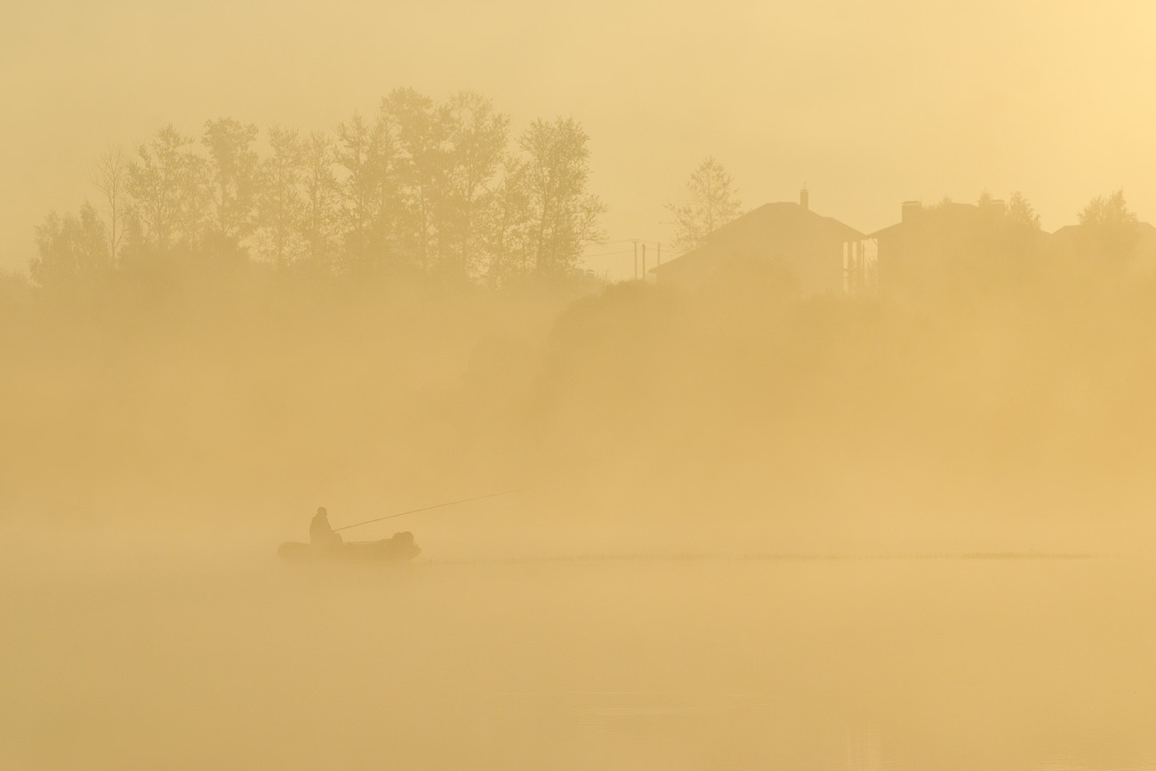 В золотом тумане августа