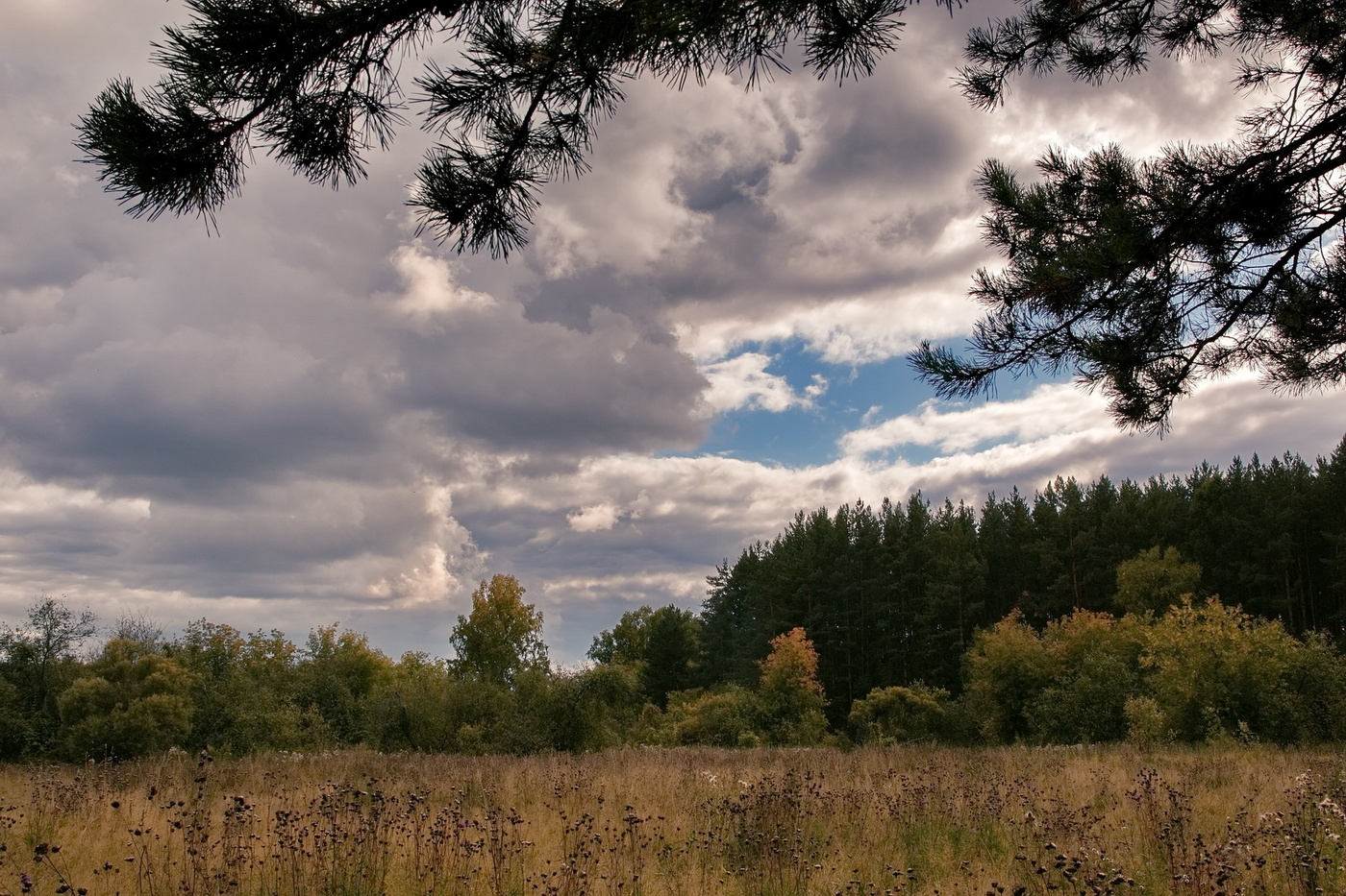Начало осени