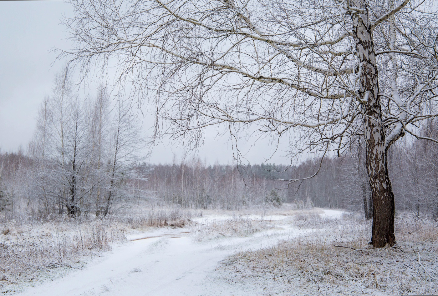 первый снег