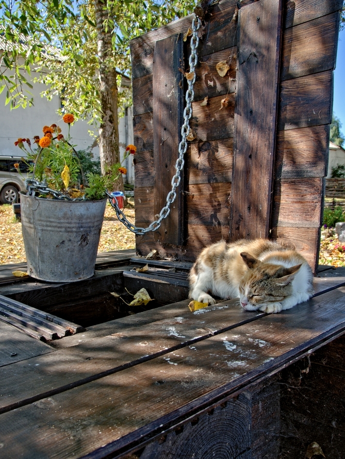 Пока тепло...