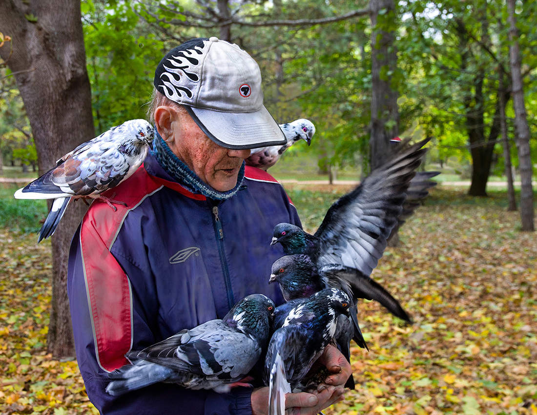 Кормилец пришел