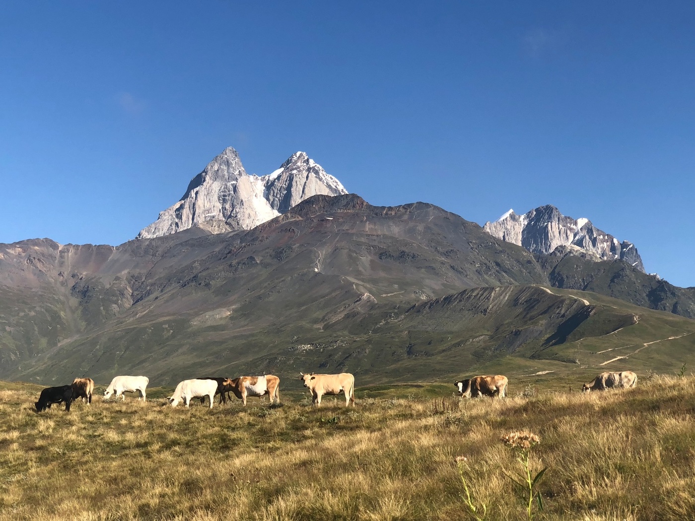 В горах Сванетии