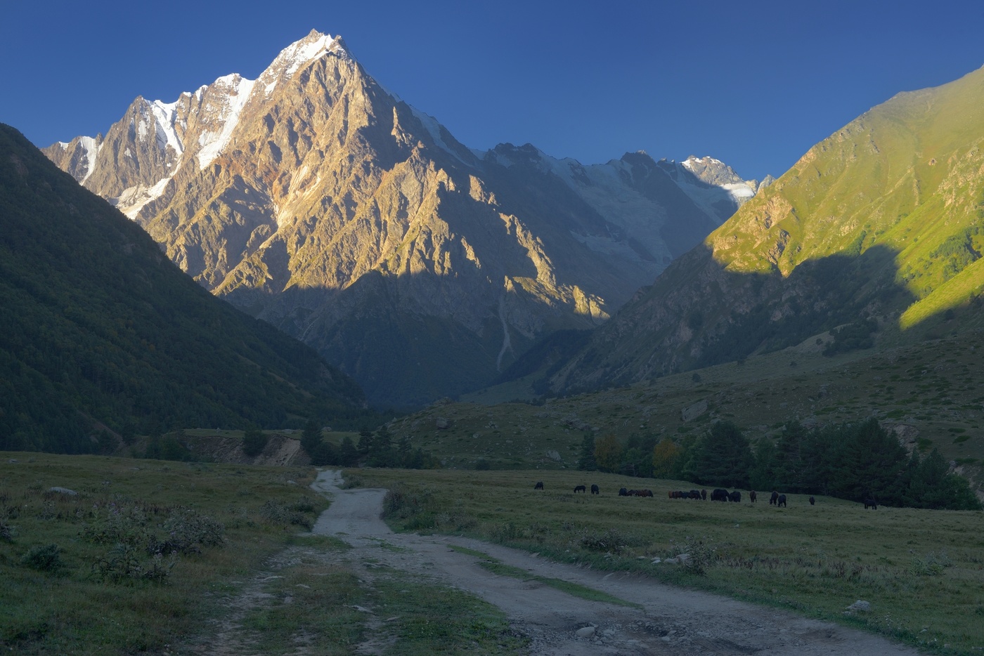 Рассвет в горах