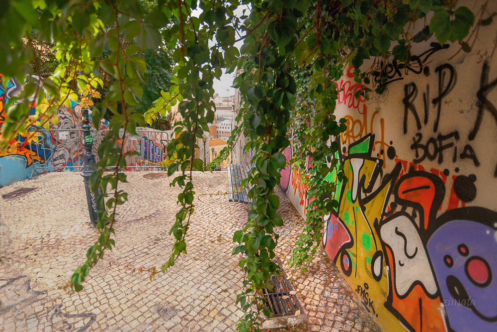 веселый уголок