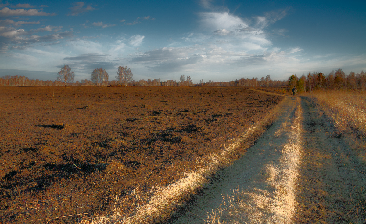 Свет уходящего дня