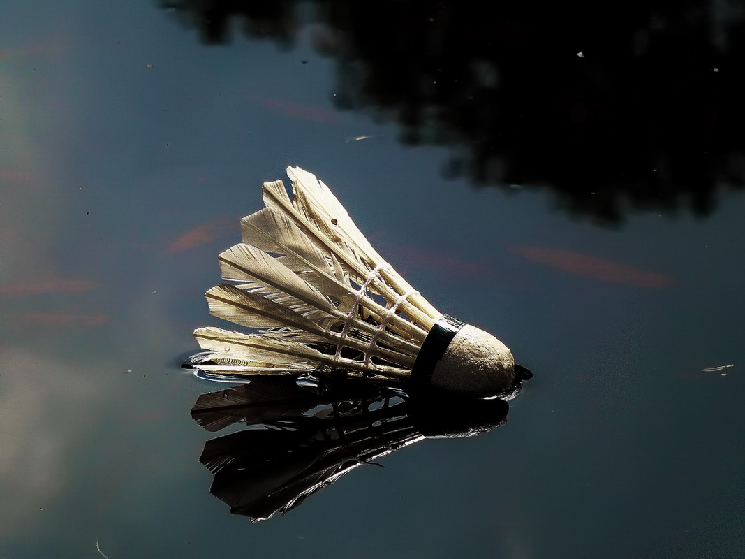 Лета заключительный аккорд