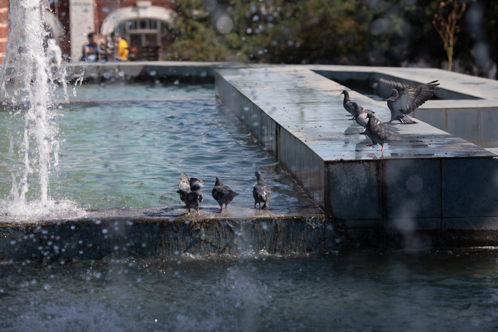 Лета заключительный аккорд