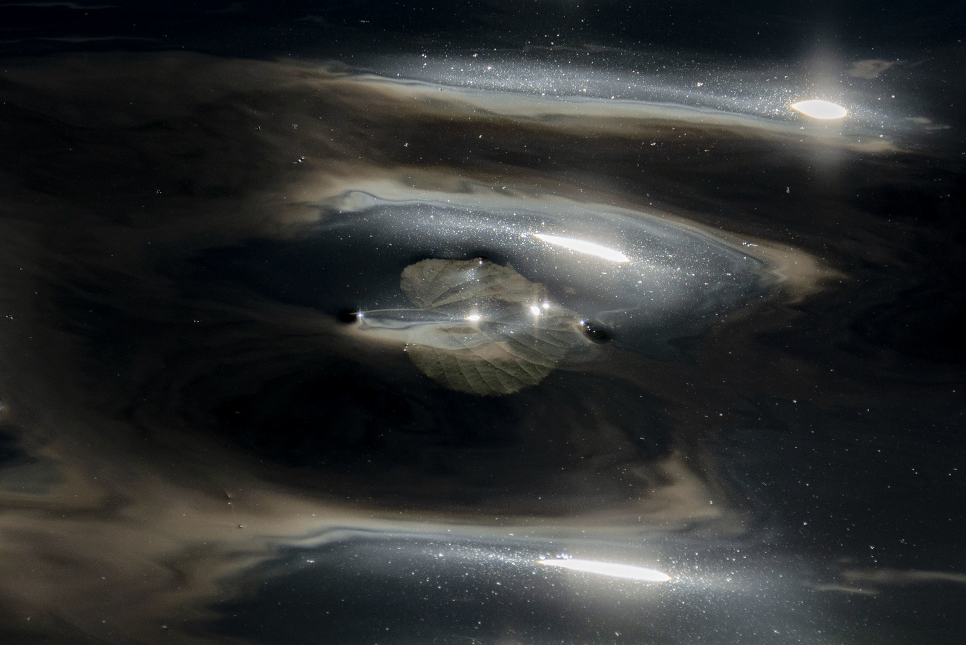 Лета заключительный аккорд