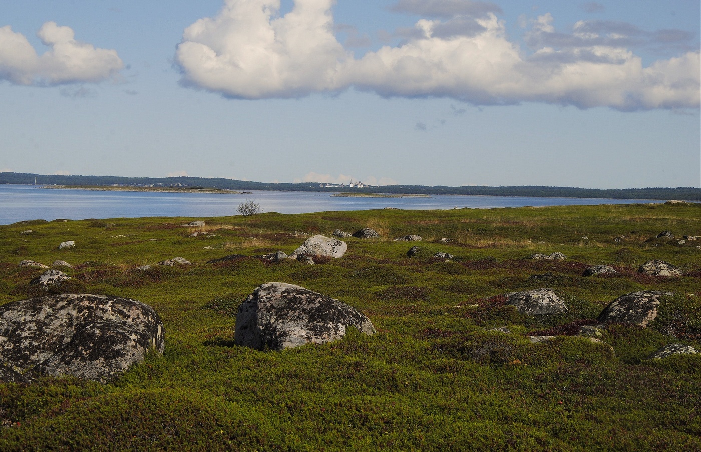 Земля Соловецкая.