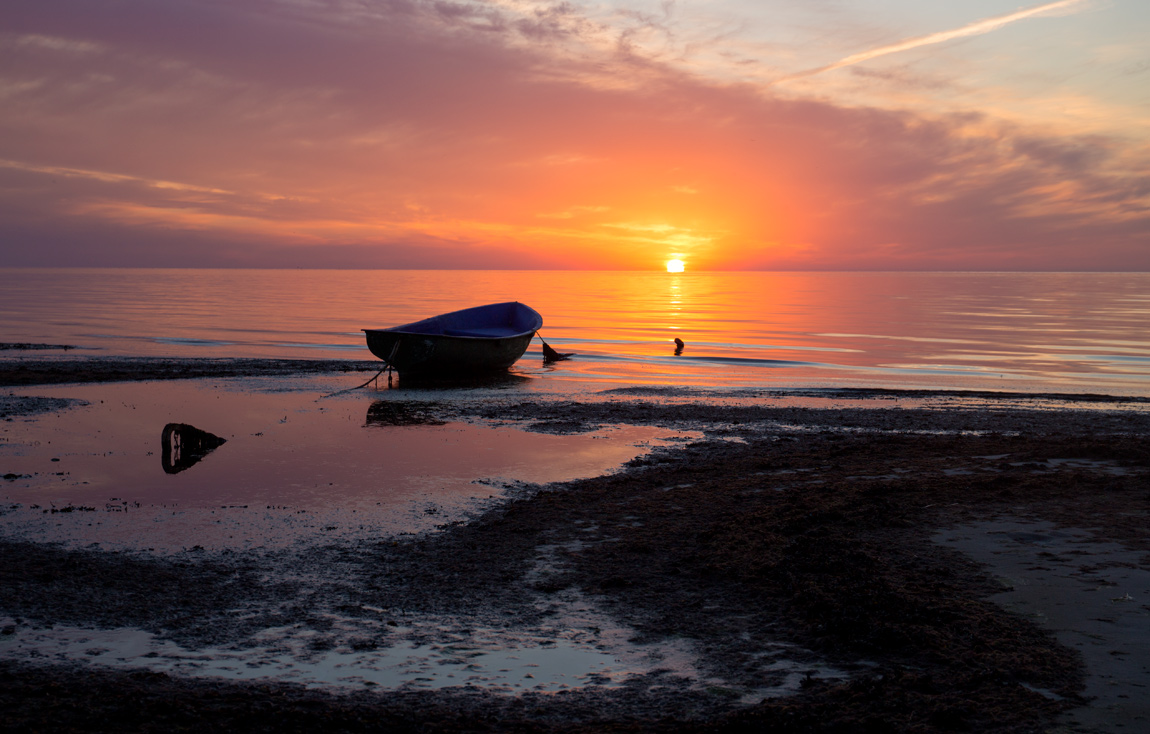 Курсом на рассвет
