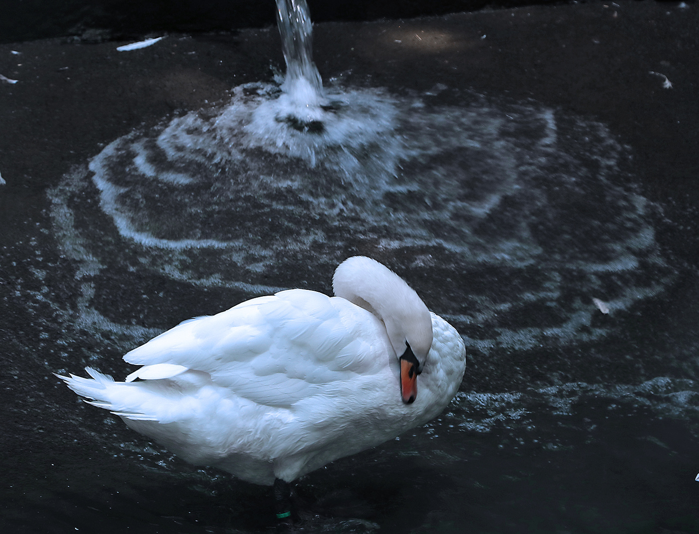 Бьётся грусть-тоска в душу брызгами...