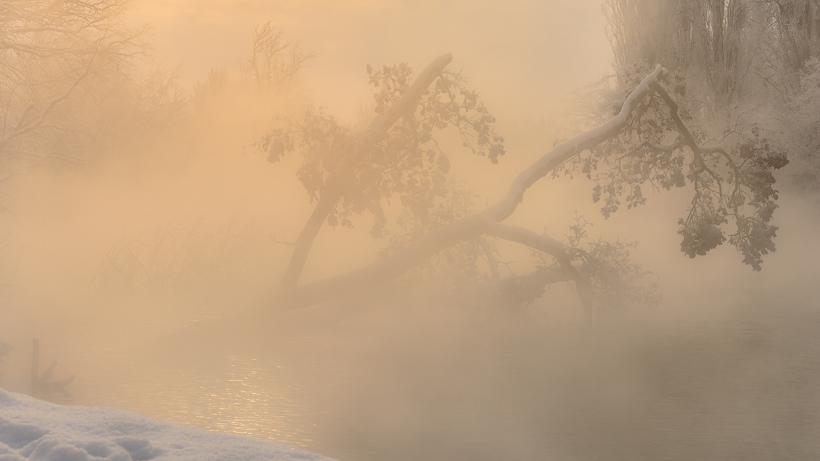 Растворяясь в утреннем тумане