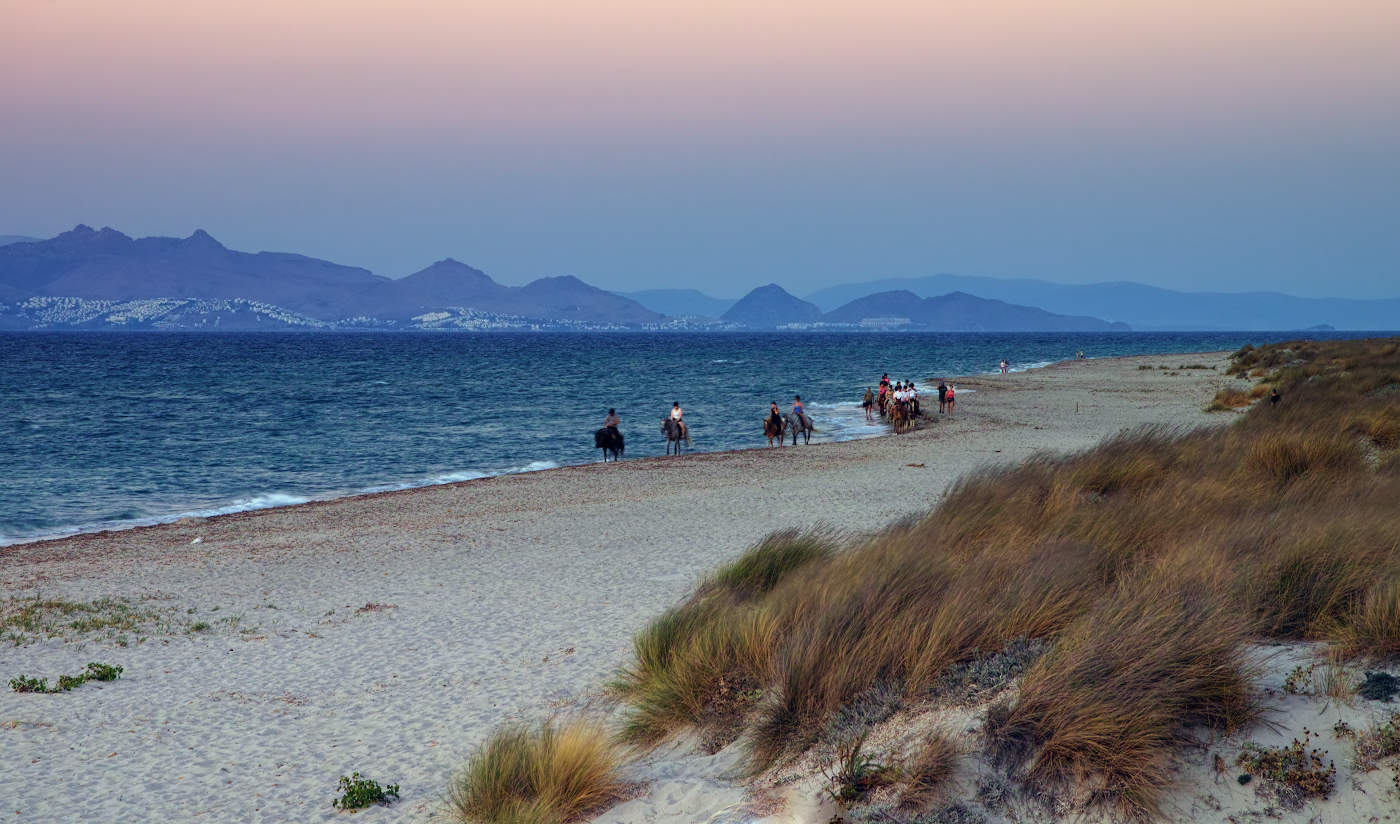 Ходят кони по простору