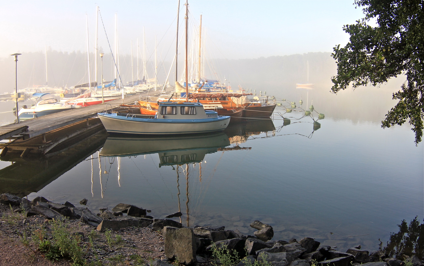 Летним утром