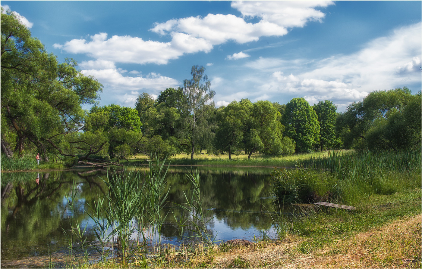 Летний полдень
