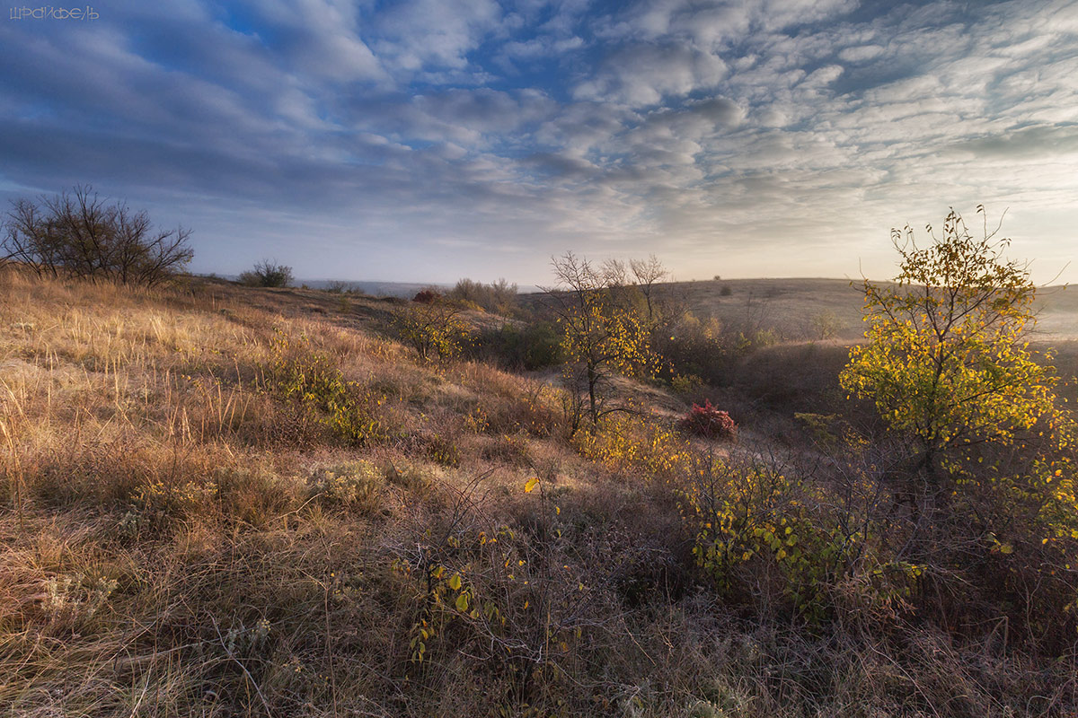 Степные картинки