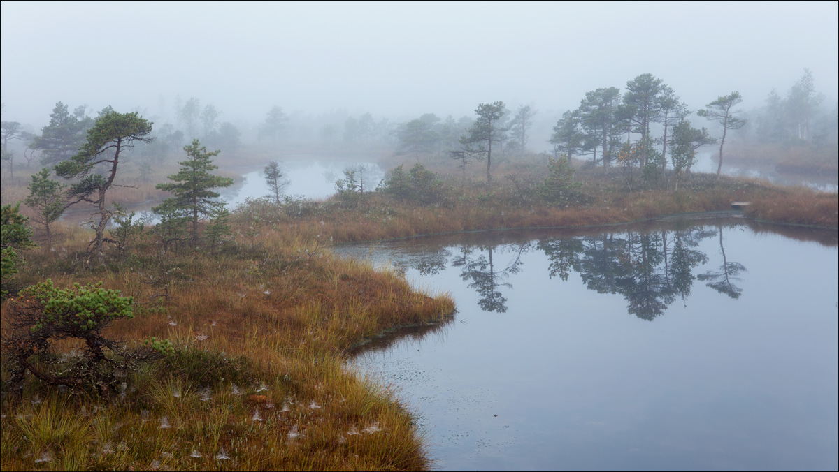 Песня древних болот