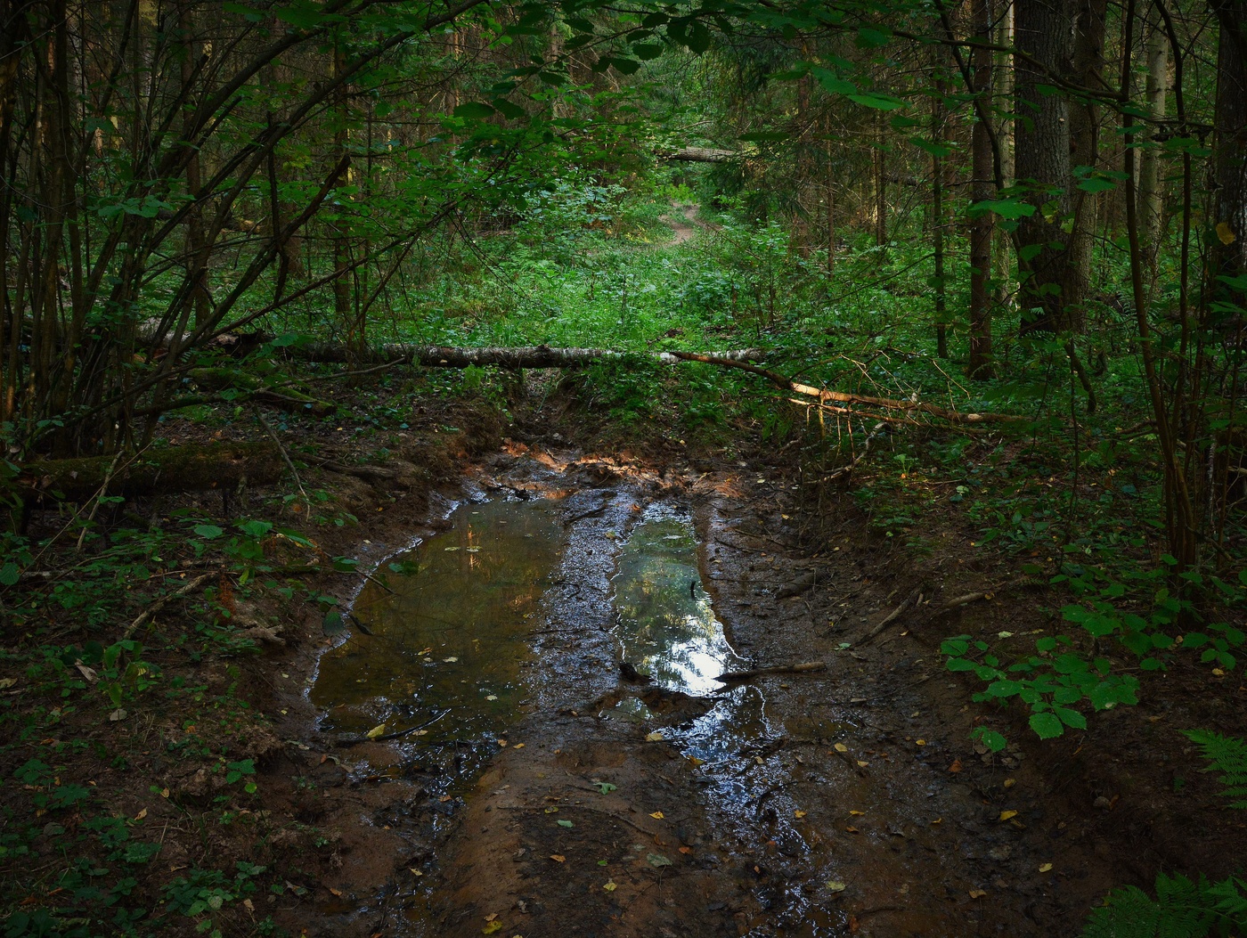 "Все дороги на свете уходят куда-то..."